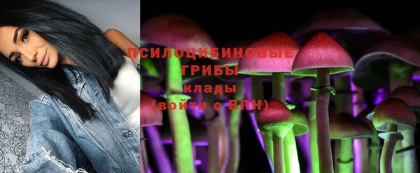 гидра Алзамай
