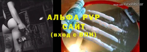 гашик Алексин