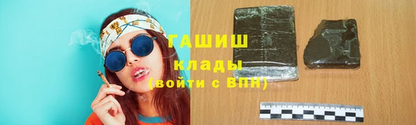 гашик Алексин