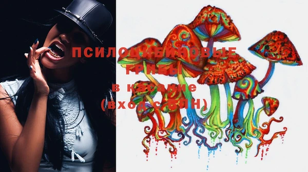 гидра Алзамай