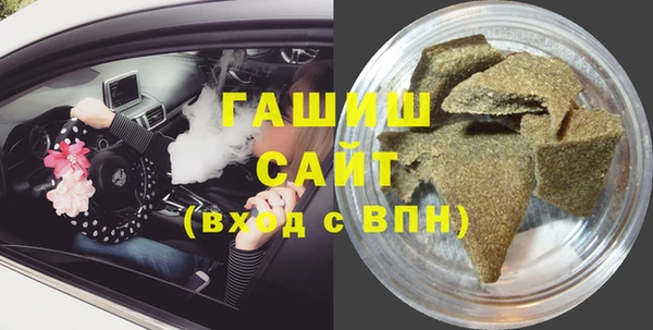 гашик Алексин